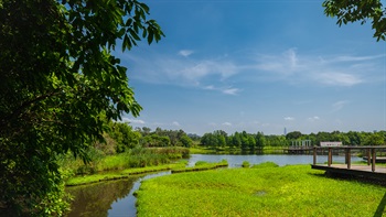 保护区内的淡水沼泽为野生动物提供丰富的食物和多种生境，令保护区的生态多样性得以保持。